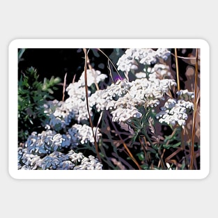 White Coastal Flowers Sticker